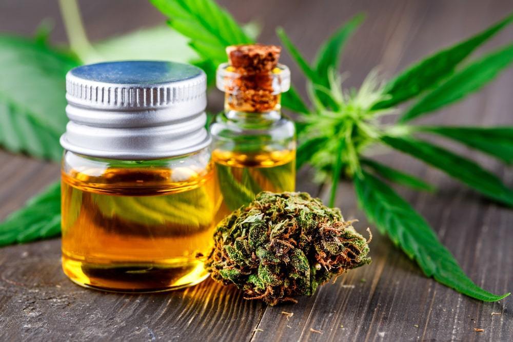 Best CBD Products in Canada: Top Picks and Reviews