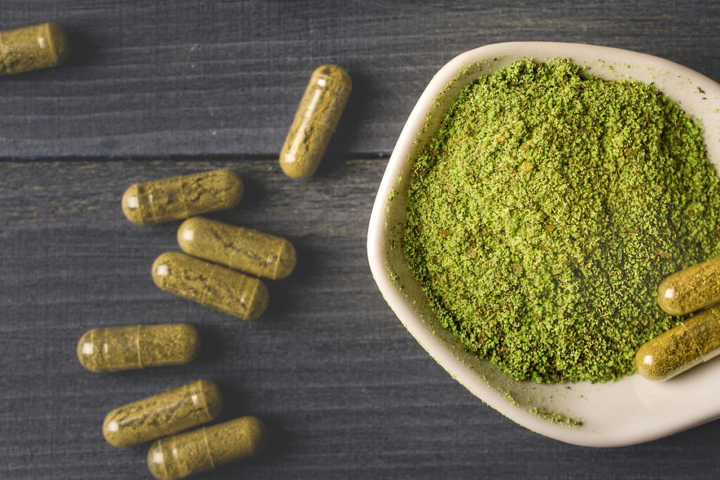 Kratom Exposé The Intersection of Tradition, Science, and Controversy