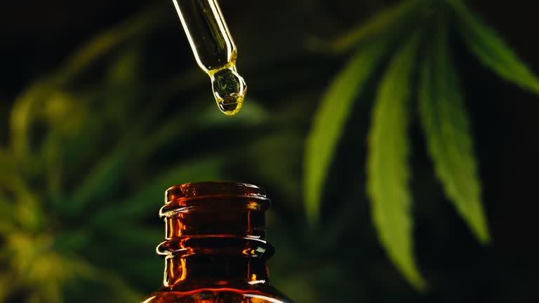 CBD Oil: Understanding Its Potential to Support Overall Health